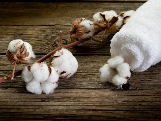 Sprawdź, czym charakteryzują się tkaniny bawełniane 3