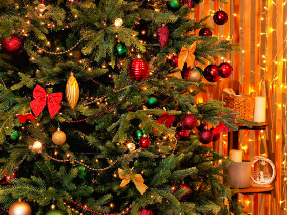 Choinki bożonarodzeniowe - dlaczego warto postawić na sztuczne drzewka? 13