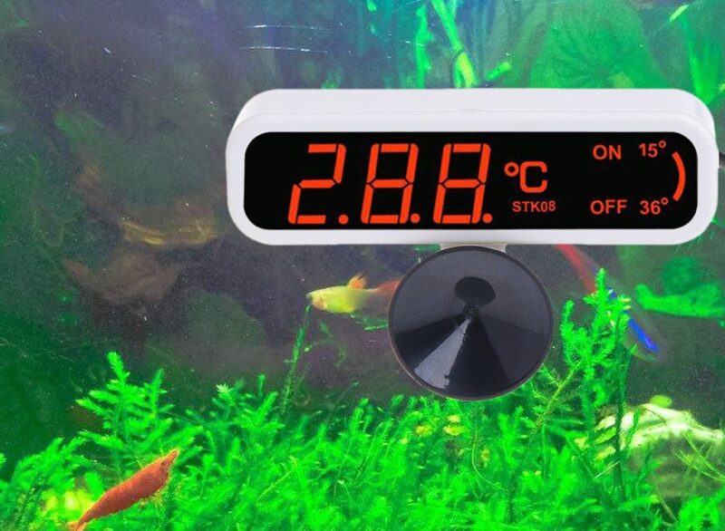 temperatura wody w akwarium